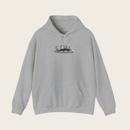 Pikes Peak Hoodie